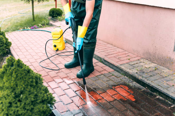 Best Local Pressure Washing Services  in Fraser, MI