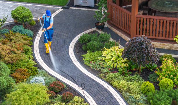 Best Pressure Washing Services Near Me  in Fraser, MI