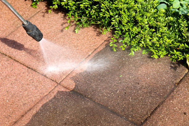 Best Concrete Pressure Washing  in Fraser, MI