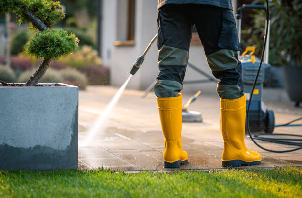 Best Pressure Washing Company Near Me  in Fraser, MI